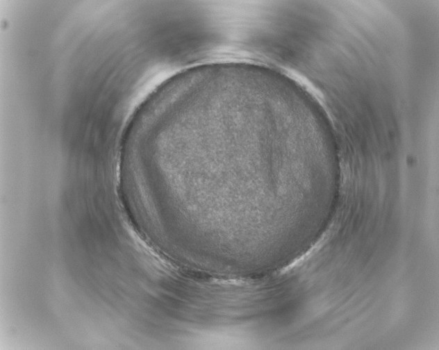 X0000088181415200706051130