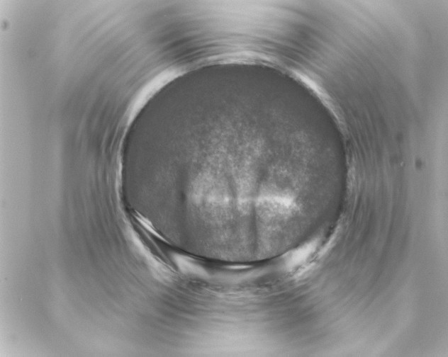 X0000088181418200706051130