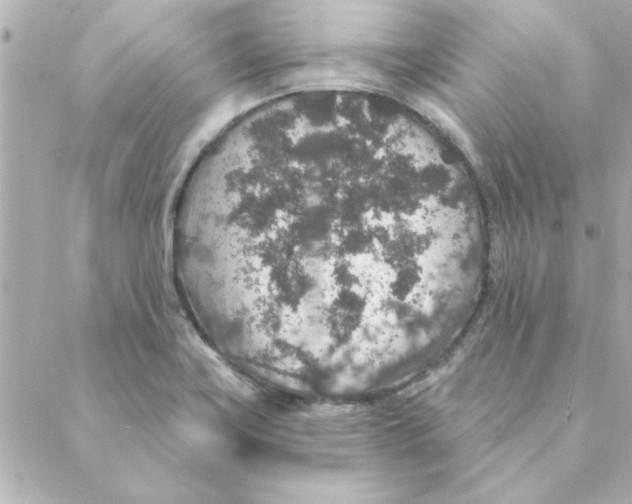 X0000088181419200706051130