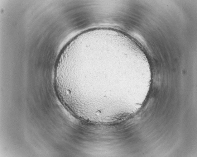 X0000088181420200706051130