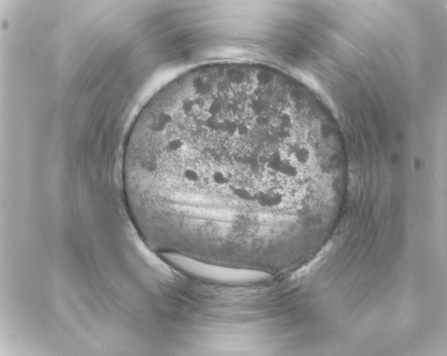 X0000088181421200706051130