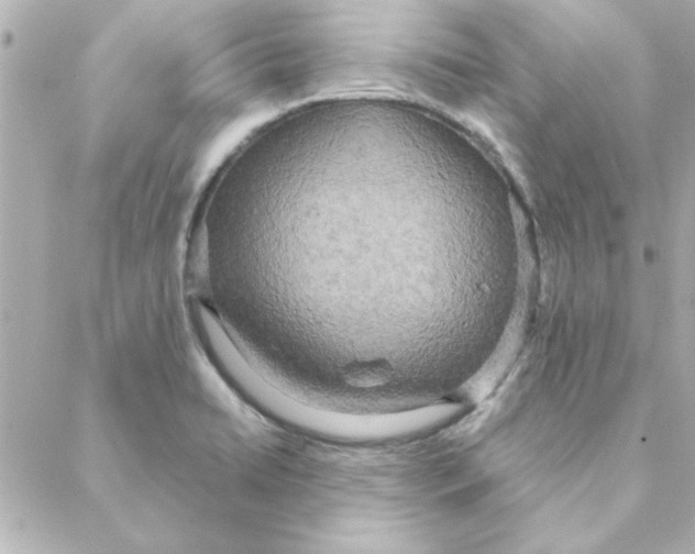 X0000088181422200706051130