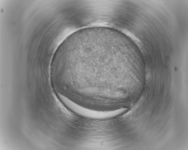 X0000088181423200706051130