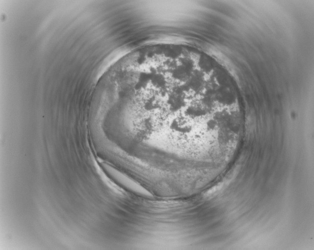 X0000088181425200706051130