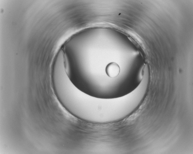 X0000088181430200706051130