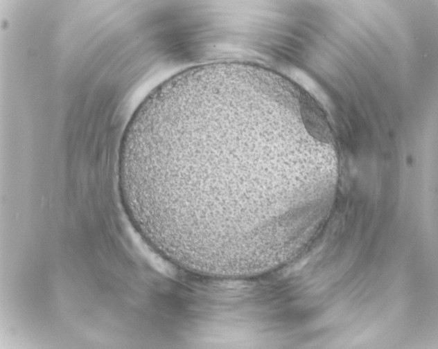 X0000088181431200706051130