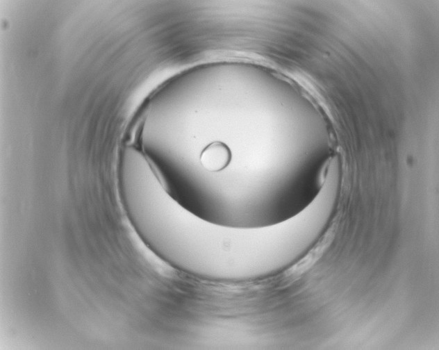 X0000088181438200706051130