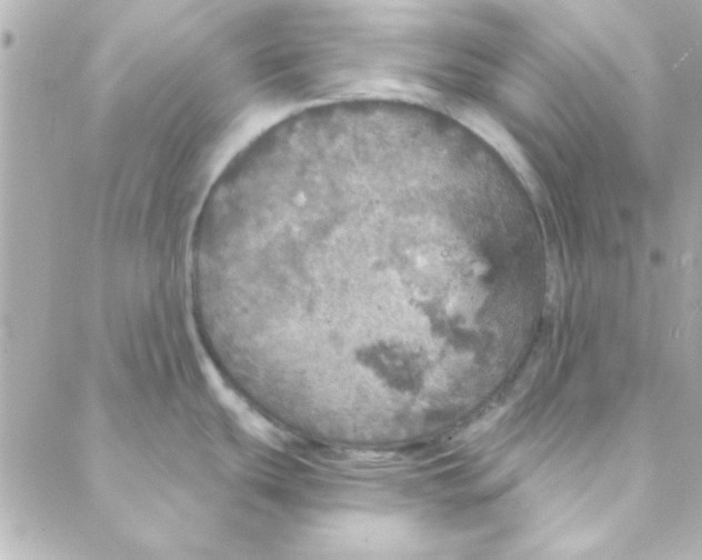 X0000088181439200706051130