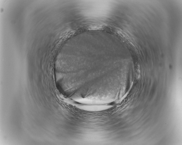 X0000088181441200706051130