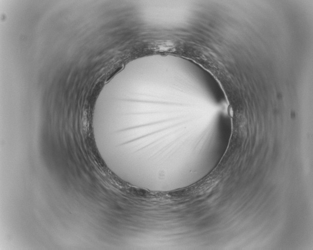 X0000088181442200706051130