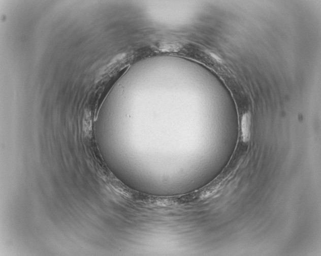 X0000088181443200706051130