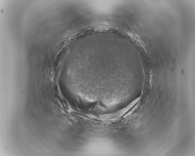 X0000088181445200706051130