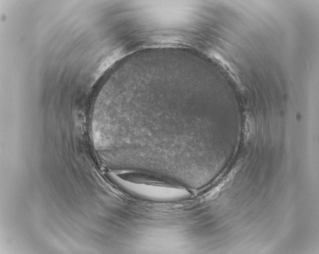 X0000088181449200706051130