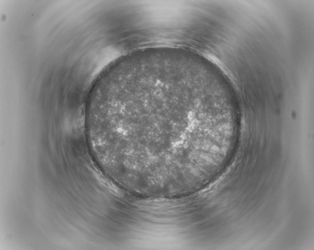 X0000088181450200706051130