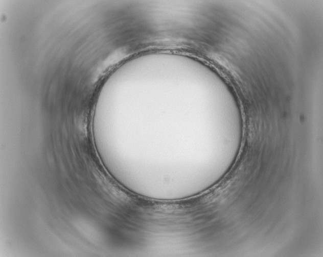 X0000088181451200706051130