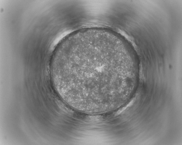 X0000088181453200706051129