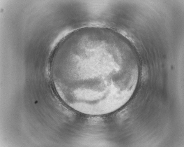 X0000088181454200706051129