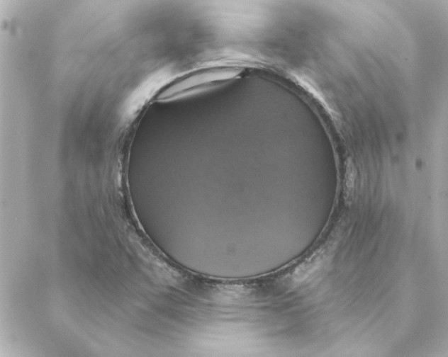 X0000088181455200706051129