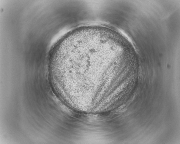 X0000088181456200706051129