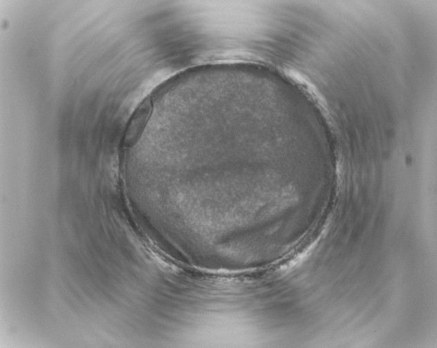 X0000088181457200706051129