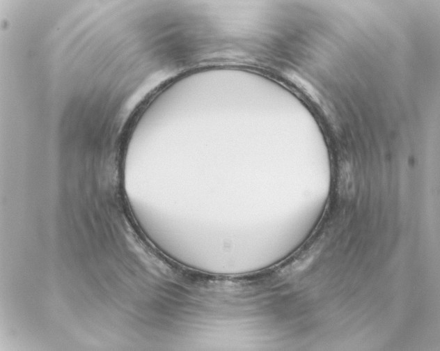 X0000088181458200706051129