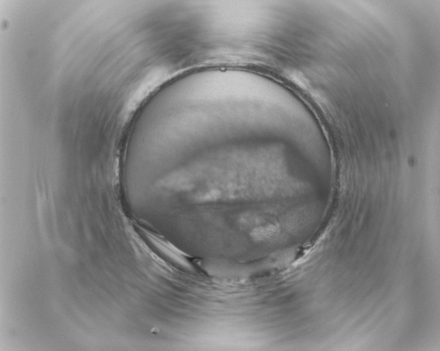 X0000088181459200706051129