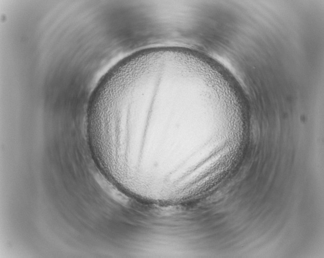 X0000088181460200706051129