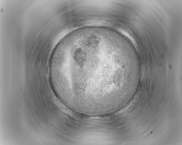 X0000088181467200706051129