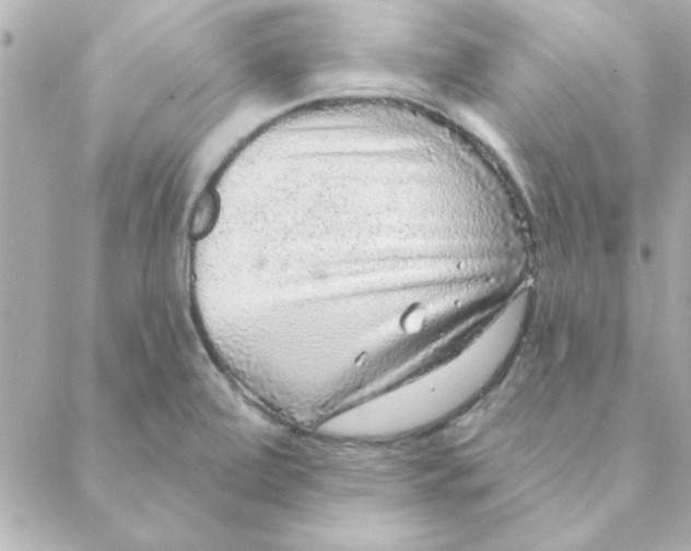 X0000088181472200706051129