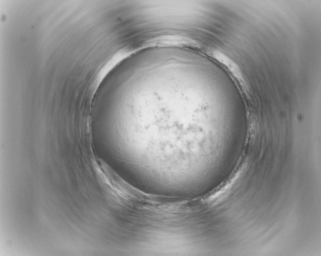 X0000088181473200706051129