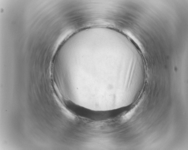 X0000088181477200706051129