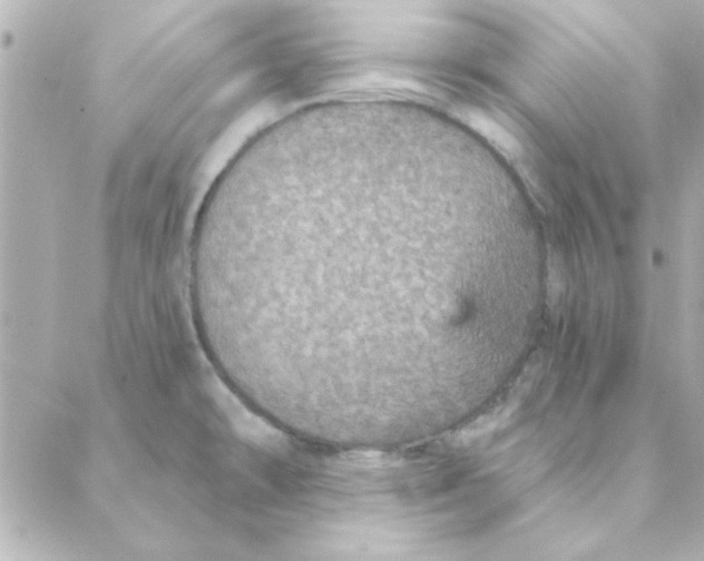 X0000088181478200706051129