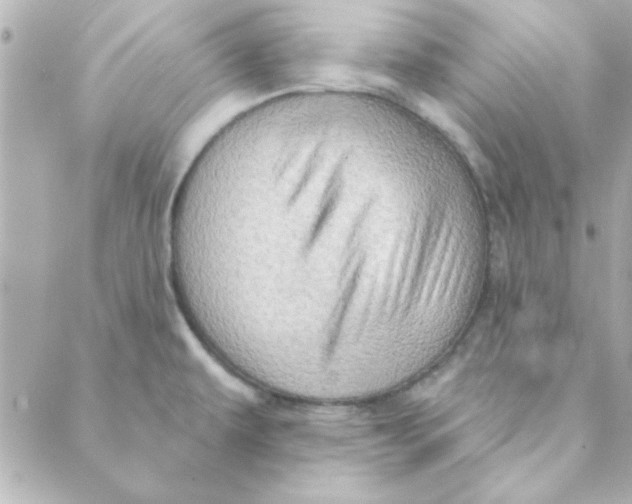 X0000088181479200706051129