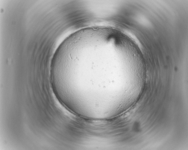 X0000088181483200706051129