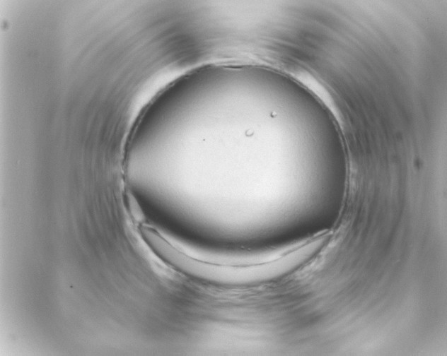 X0000088181485200706051129