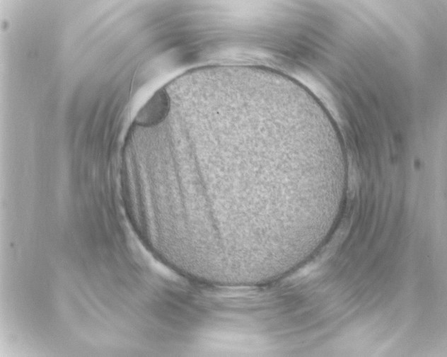 X0000088181486200706051129