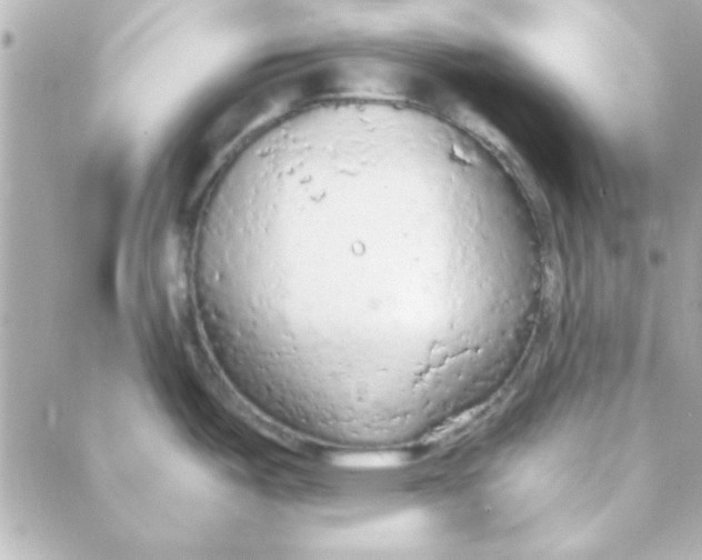 X0000088181487200706051129