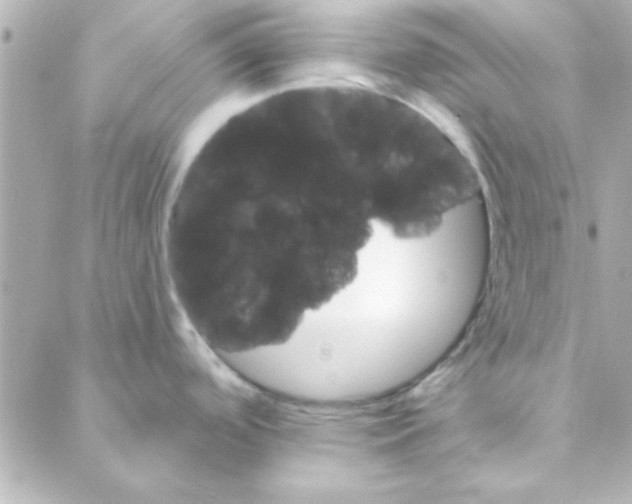 X0000088181488200706051129