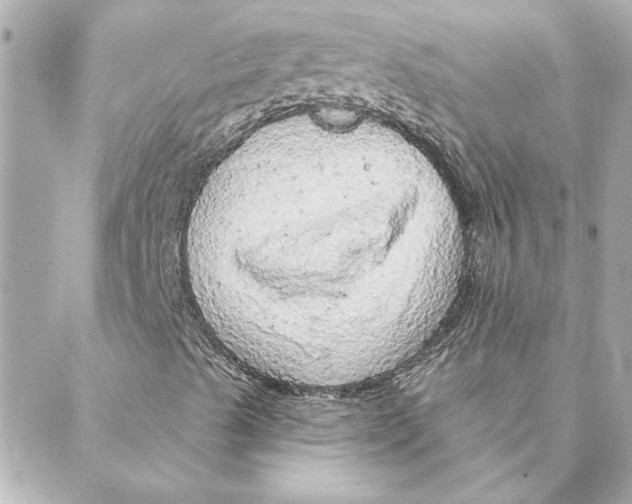 X0000088181489200706051128