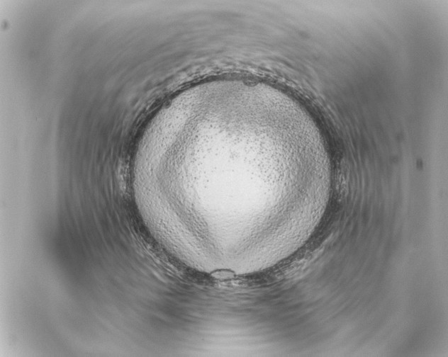 X0000088181490200706051128