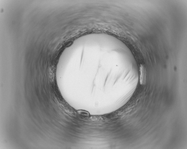 X0000088181491200706051128