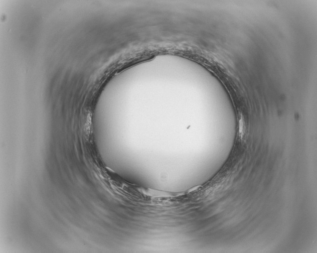 X0000088181492200706051128