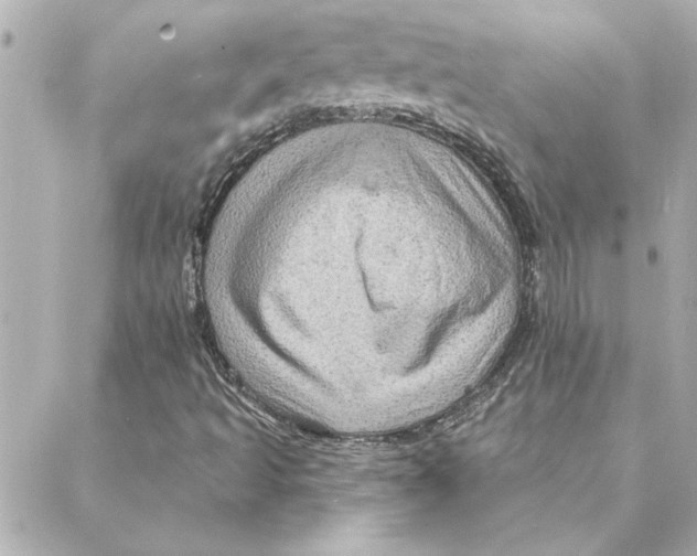 X0000088181493200706051128