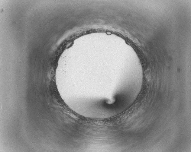 X0000088181495200706051128