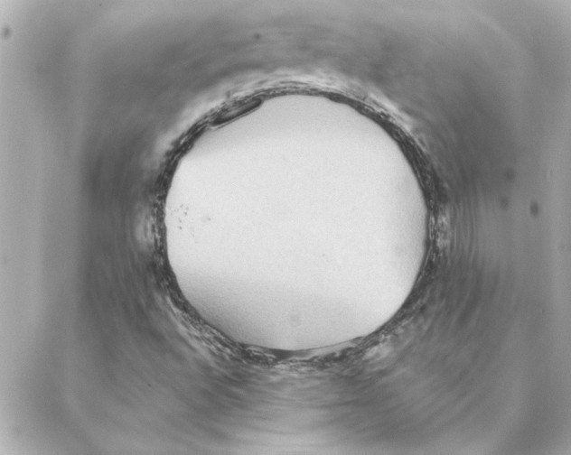 X0000088181496200706051128