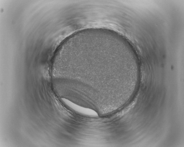 X0000088181497200706051128