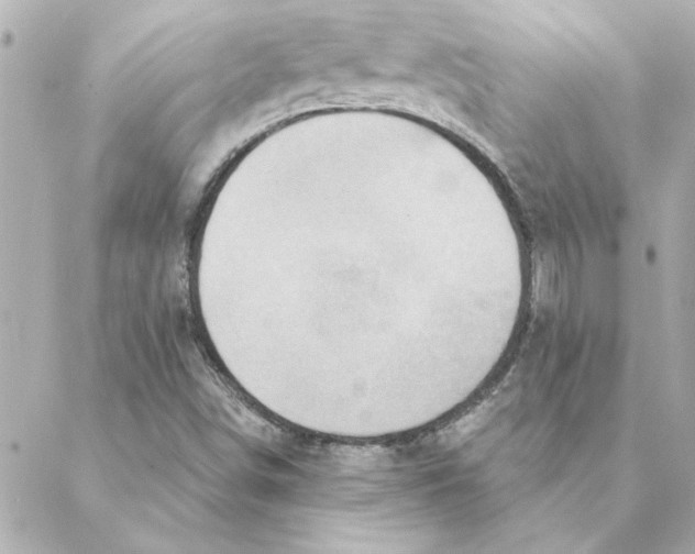 X0000088181498200706051128