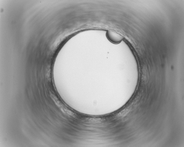 X0000088181499200706051128