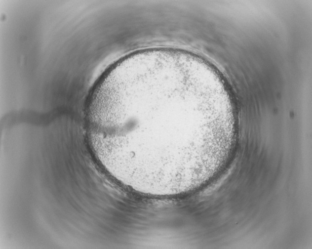 X0000088181501200706051128