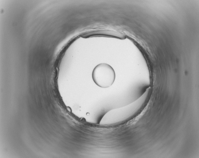 X0000088181502200706051128